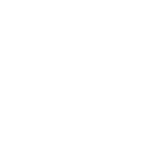 logo-MARCA-AIG-1_white